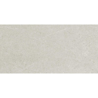 Керамогранит Ricchetti Ease Light Grey Nt 30x60
