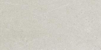 Керамогранит Ricchetti Ease Light Grey Nt 30x60