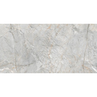 Керамогранит Ricchetti Golden Pure Oxford Grey Nt 60x120