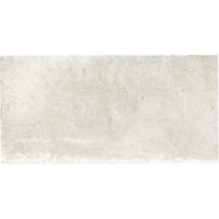 Керамогранит Ricchetti Heritage Blanc Grp 50x100