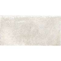 Керамогранит Ricchetti Heritage Blanc Nt 50x100