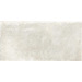 Керамогранит Ricchetti Heritage Blanc Nt 50x100