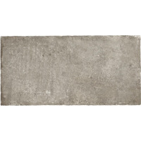 Керамогранит Ricchetti Heritage Cendre Grp 50x100