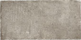 Керамогранит Ricchetti Heritage Cendre Grp 50x100