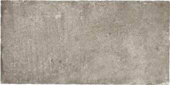 Керамогранит Ricchetti Heritage Cendre Nt 50x100