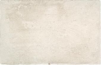 Керамогранит Ricchetti Les Dalles Des Chateaux Blanc Nt 33.3x50