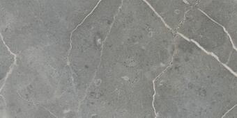 Керамогранит Ricchetti Marble Boutique Fior Di Bosco Lux 59.4x119
