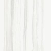 Керамогранит Ricchetti Pure Zebrino Nat 60x60