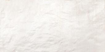 Керамогранит Ricchetti Res Cover Chalk Rett Lapp 30x60