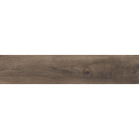 Керамогранит Rondine Aspen Brown 20.5x100