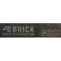 Керамогранит Rondine Bristol Dark Firma 6x25