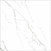 Керамогранит Rondine Canova Statuario Ret 60x60