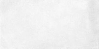 Керамогранит Rondine Concrete White Rect 30x60