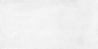 Керамогранит Rondine Concrete White Rect 40x80