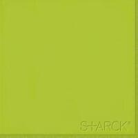 Sant Agostino Flexible Architecture 2 Logo Green Brillo 30x30