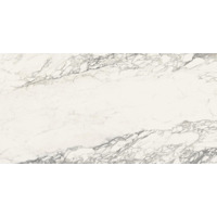 Керамогранит Sant Agostino Trumarmi Arabescato 60x120