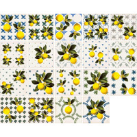 Керамогранит Sant Agostino Vita Giardino Bianco Mix Luc 20x20
