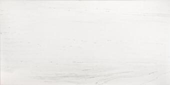 Керамогранит Seranit Carrara Grey 60x120