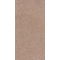 Керамогранит Seranit Forza Brown 60x120