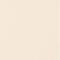 Керамогранит Seranit Heavy Duty Beige 20.2x20.2