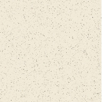 Керамогранит Seranit Heavy Duty Erica 20.2x20.2