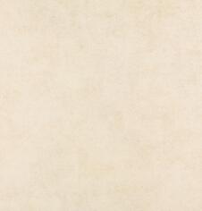 Керамогранит Seranit Stone Beige 60x60