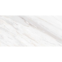 Керамогранит Simpolo Porcelain 1123 Glossy 60x120