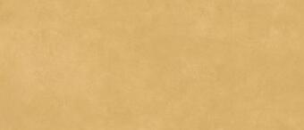 Керамогранит Simpolo Porcelain Scs Spectra Mustard Gv 120x278