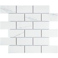 Starmosaic Brick & Metro Brick Carrara Matt 45х95