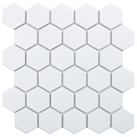 Starmosaic Geometry Hexagon small White Matt 51x59