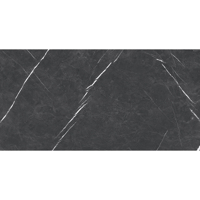 Керамогранит Staro Silk 60х120 ELENTA GREY 60x120 MATT