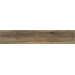 Керамогранит STN Blaze Nogal 22.7x119.5
