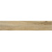 Керамогранит STN Blaze Roble 22.7x119.5