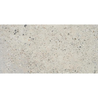 Керамогранит STN Boltonstone Cold 59.5x120