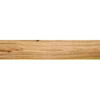 Керамогранит STN Cypress Natural 23.3x120