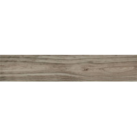Керамогранит STN Cypress Taupe 23.3x120