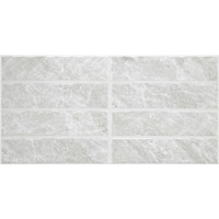 STN Icaria LS Blanco 30x60