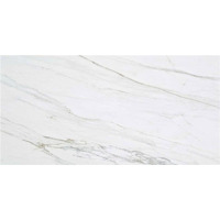 Керамогранит STN Liceo Blanco Sat 60x120