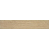 Керамогранит STN Lionel Haya Matt Rect 23x120