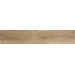 Керамогранит STN Merbau Roble 23.3x120