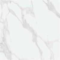 Керамогранит STN Purity White 120x120