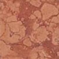 Керамогранит Supergres Gotha Rosso Verona Marmo Tozzetto Tmrv 6x6