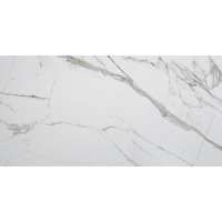 Керамогранит TileKraft Fantastico Grande Mirror B 60x120