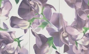 Tubadzin Colour 3-elementowy Bloom Violet 59.3x98.5