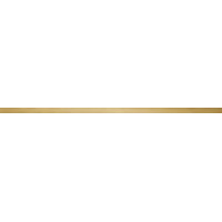 Tubadzin House Of Tones Strip Steel Gold Pol 2.3x89.8