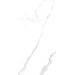 Керамогранит Tuscania Ceramiche White Marble Statuario Rett 61x122.2