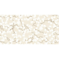 Керамогранит Vallelunga Bloom Loto Avorio 50x100