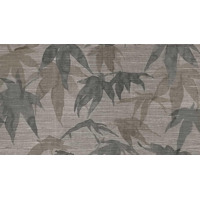 Керамогранит Vallelunga Decorandum Ornatus 50x100
