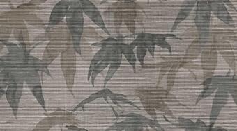 Керамогранит Vallelunga Decorandum Ornatus 50x100