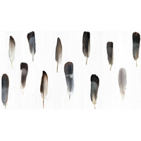 Керамогранит Vallelunga Decorandum Pluma 50x100